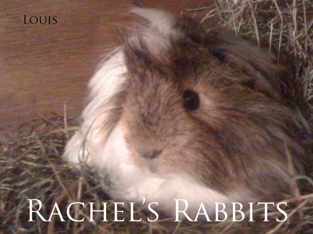 Louis